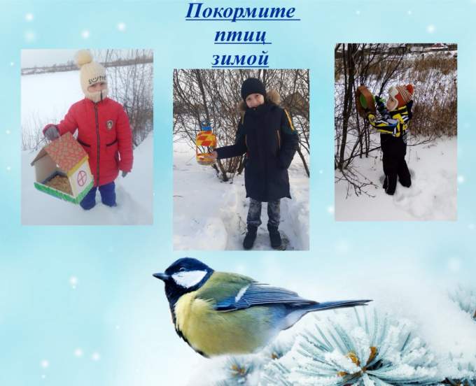 Общероссийская акция «Покормите птиц зимой»